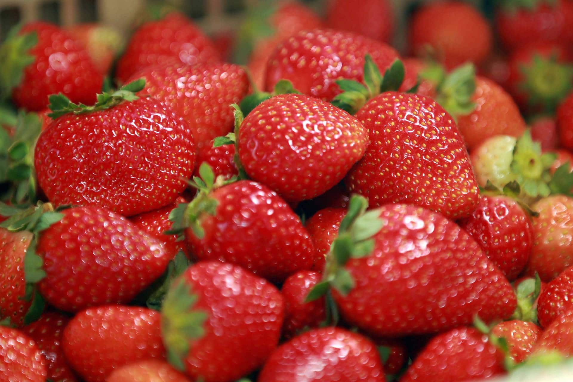 60 mil caixas de morango são vendidos por produtores na feira do Morango em Brazlândia