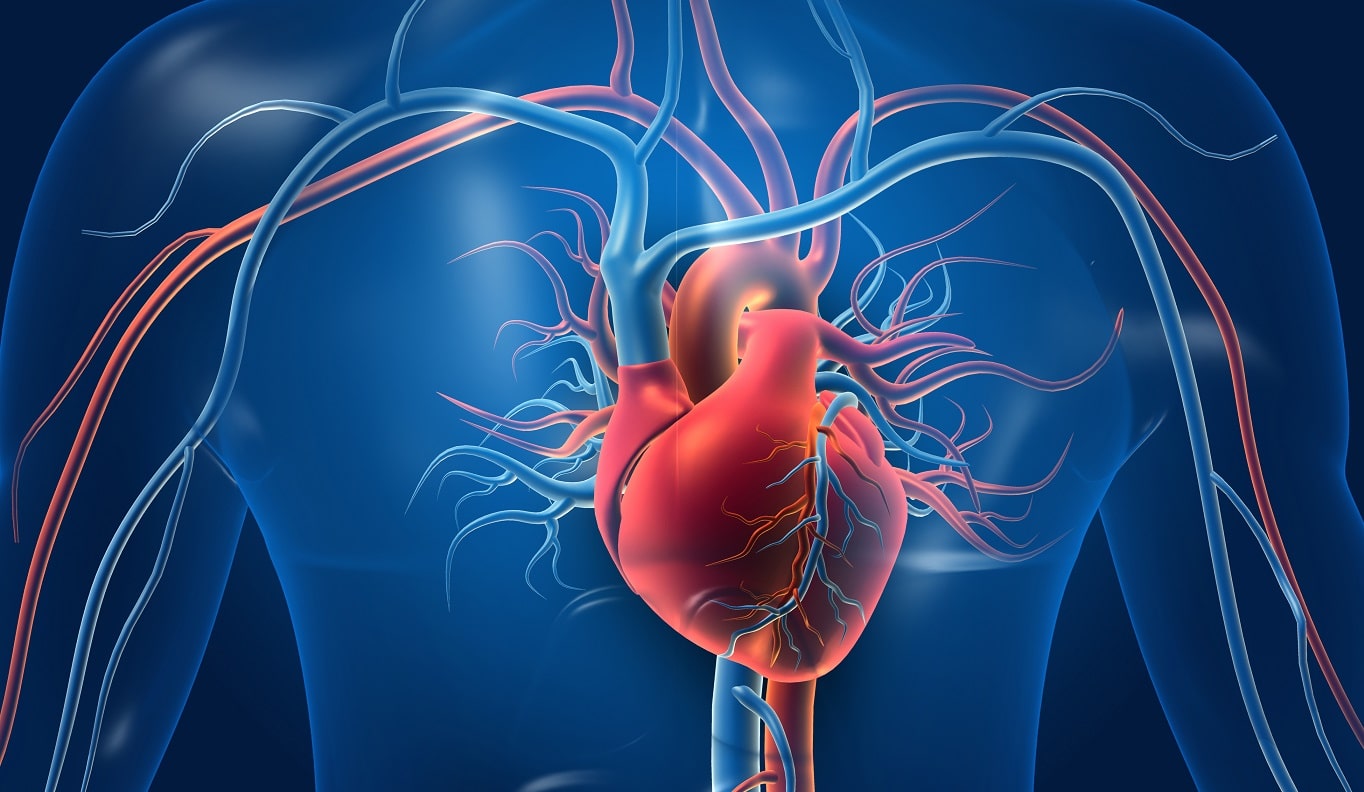 Dia do Coração: saiba as diferenças entre sintomas de infarto em mulheres e homens