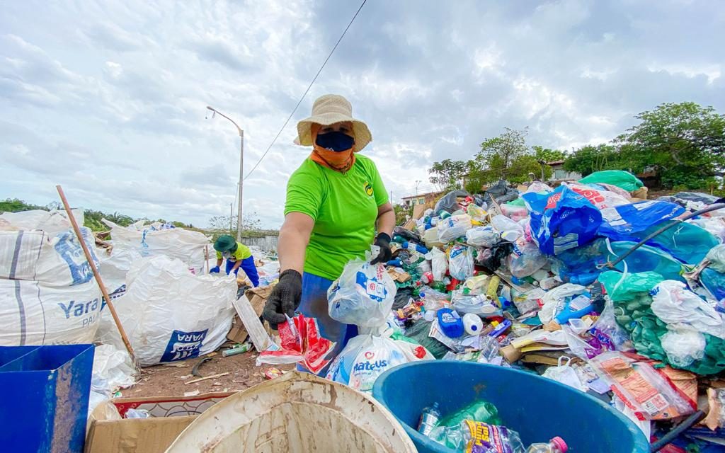 Catadores de materiais recicláveis da Região Centro-Oeste possuem maior renda  média mensal do país e maior taxa de crescimento em 3 anos