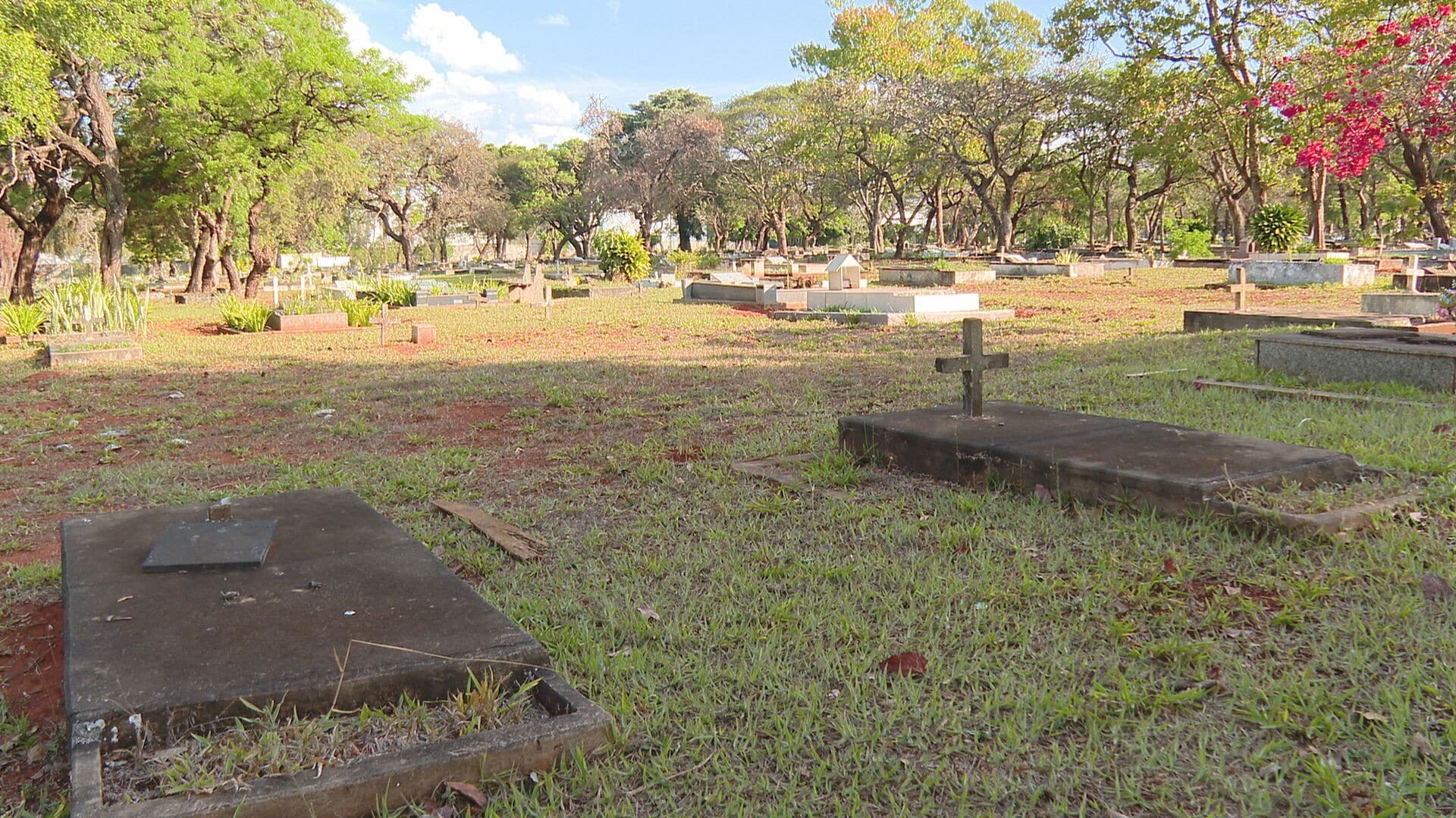 MP notifica administradora de cemitérios e propõe acordo para corrigir falhas em serviços no DF MP notifica administradora de cemitérios e propõe acordo para corrigir falhas em serviços no DF