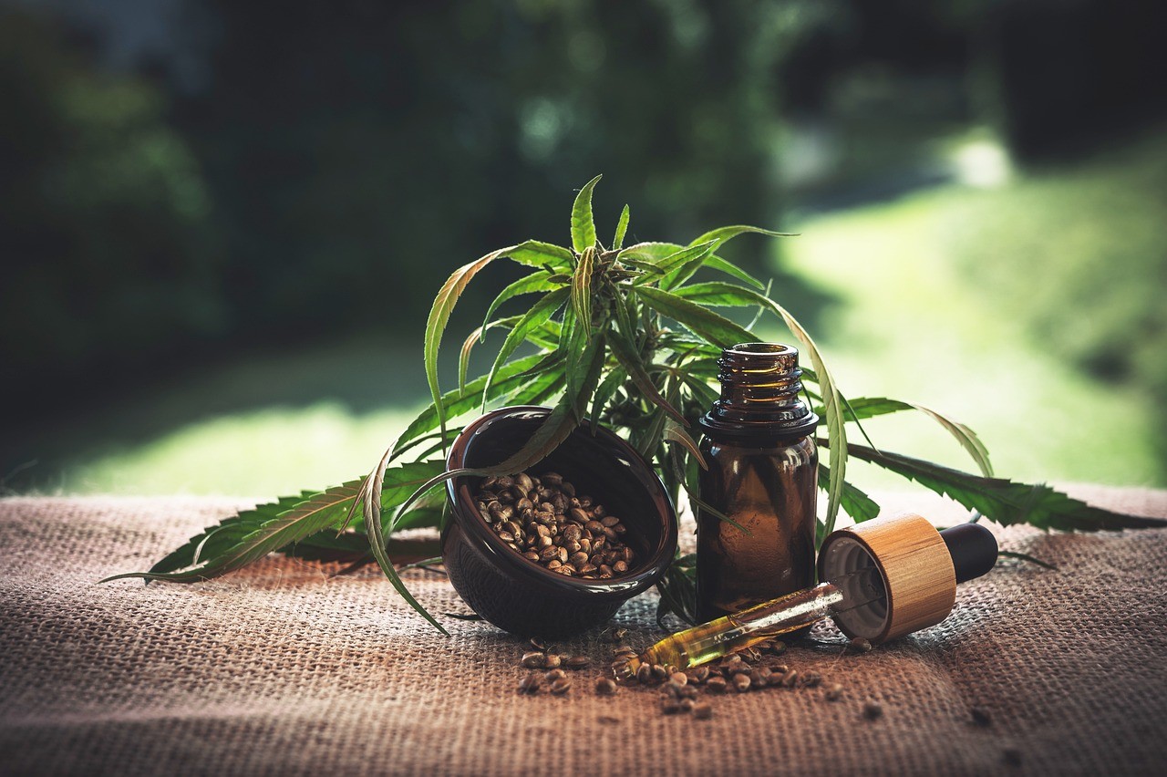 Governo federal pede mais prazo para regulamentar cannabis medicinal; pacientes citam angústia
