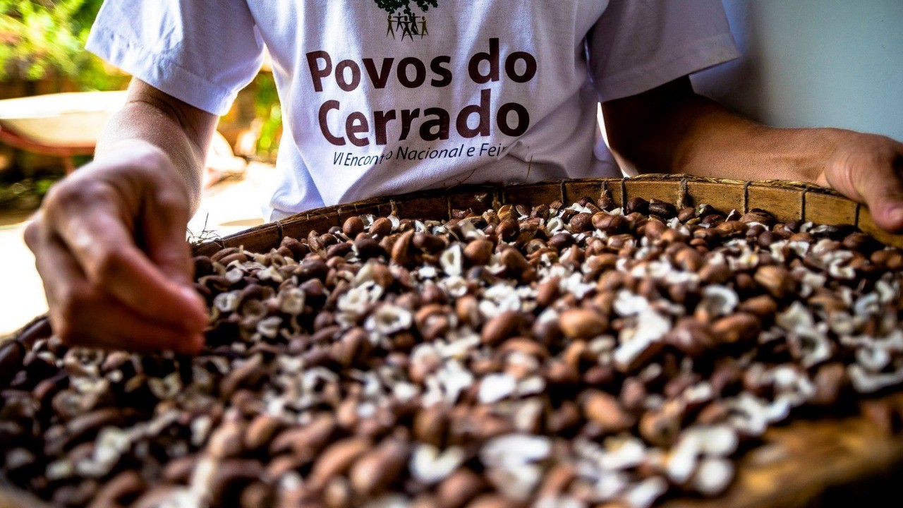 Cerrado invisível: quem são os povos tradicionais que protegem o bioma mais desmatado do Brasil Cerrado invisível: quem são os povos tradicionais que protegem o bioma mais desmatado do Brasil