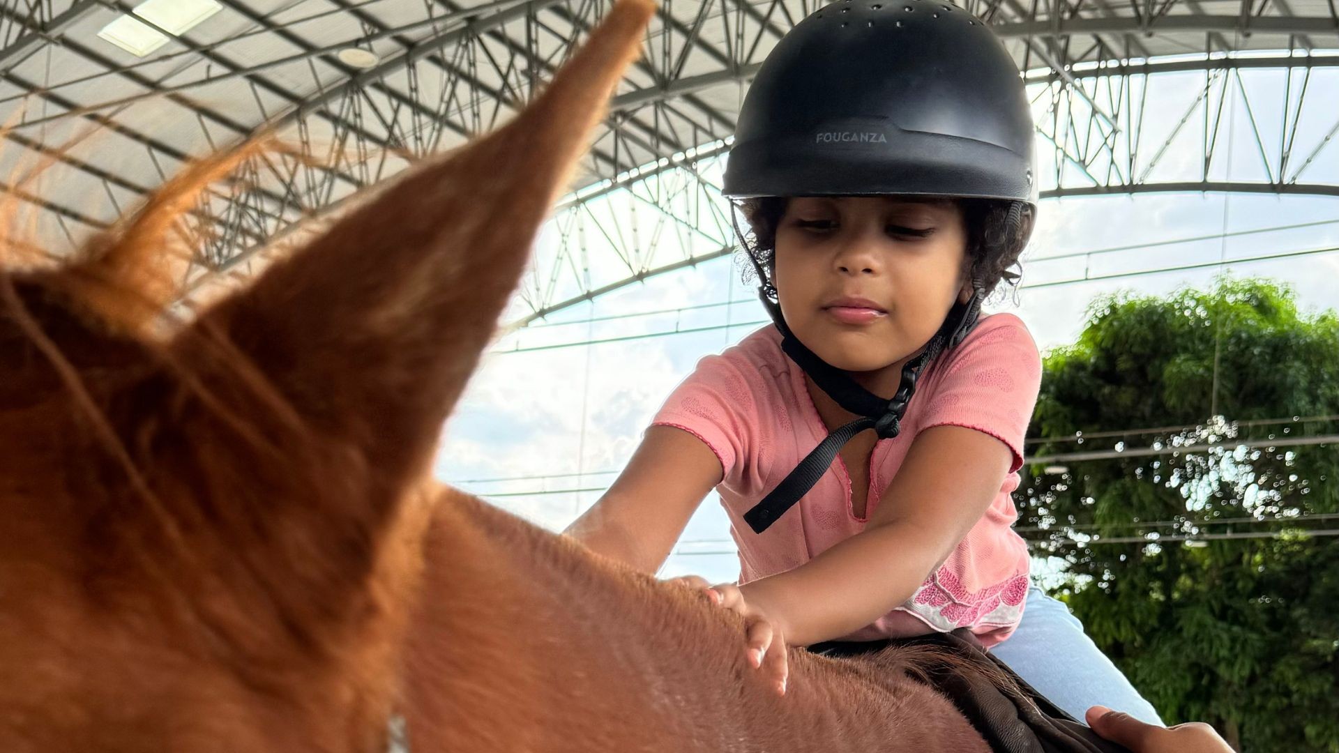 Projeto de equoterapia atende crianças e adolescentes com deficiência no DF; veja imagens Projeto de equoterapia atende crianças e adolescentes com deficiência no DF; veja imagens