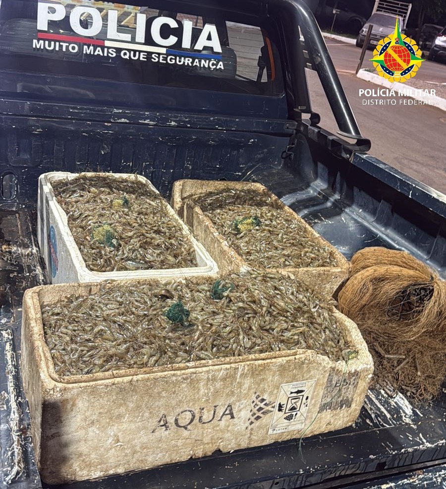 Dupla é presa após pescar 100kg de camarão no Lago Paranoá, em Brasília Dupla é presa após pescar 100kg de camarão no Lago Paranoá, em Brasília