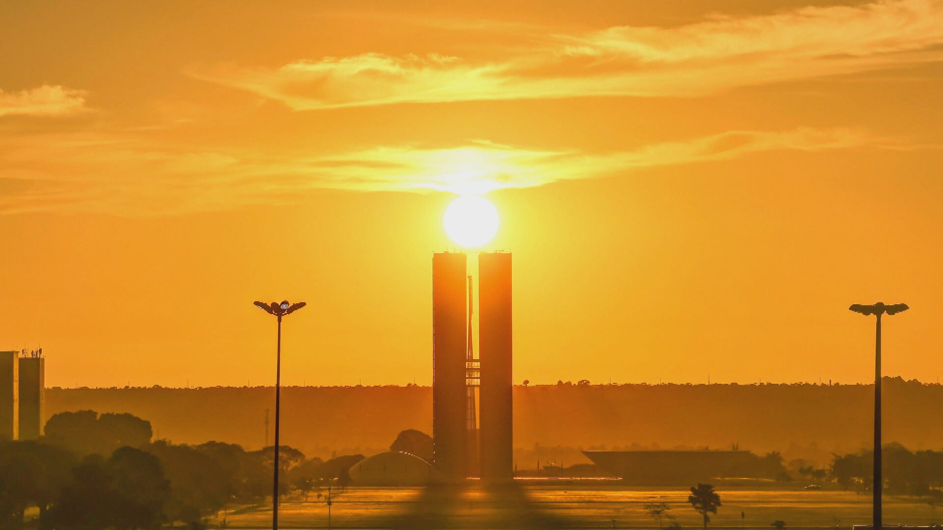 Censo: Brasil tem 879 pessoas chamadas ‘Brasília’, mas nenhuma no DF; pico foi nos anos 1950 Censo: Brasil tem 879 pessoas chamadas ‘Brasília’, mas nenhuma no DF; pico foi nos anos 1950